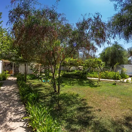 S3 Seahorse Club 호텔