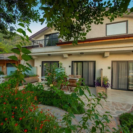 S3 Seahorse Club 3* 올루데니스