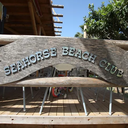 S3 Seahorse Club 올루데니스