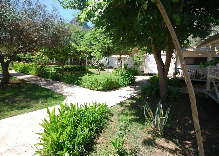 Hotel S3 Seahorse Club