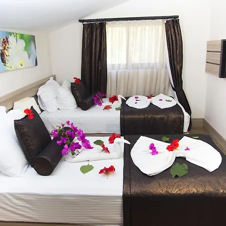 Hotel S3 Seahorse Club 3*
