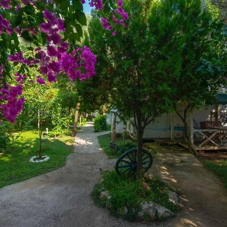 S3 Seahorse Club Hotel Oludeniz