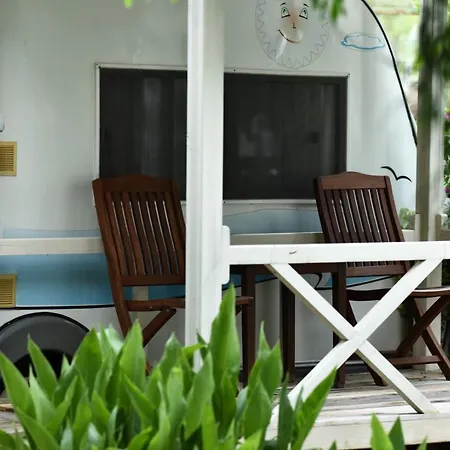 Hotel S3 Seahorse Club